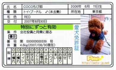 coco-mobirou-card002.jpg