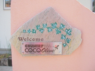 08.11.23.CountryCocoOlive-038.jpg